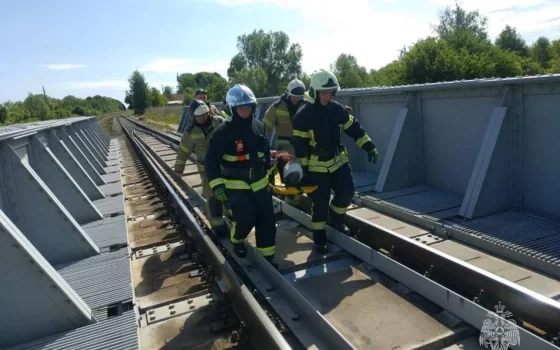 Под Гусевом локомотив сбил семидесятилетнего мужчину