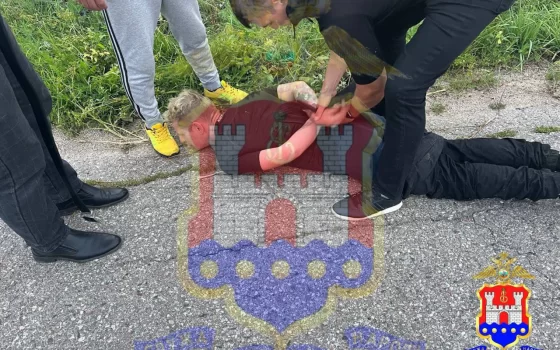 Полицейские задержали водителя, сбившего двоих детей и скрывшегося с места ДТП