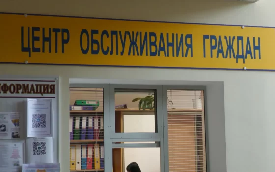 В Калининградской области удалось упростить порядок приобретения дров и выдачи разрешения на охоту