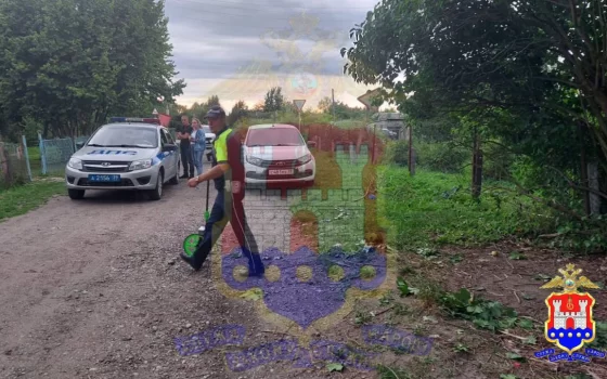 В Гусеве водитель сбил двоих детей и скрылся с места ДТП
