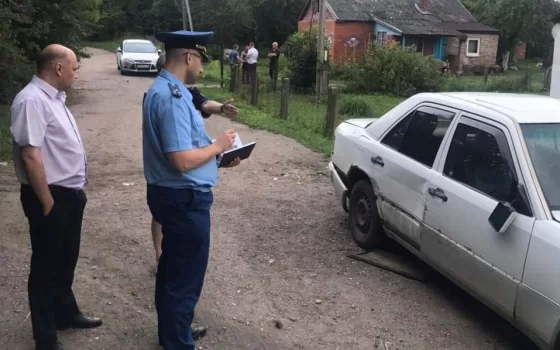 Одна из девочек, которую сбили в Гусевском районе, скончалась в больнице