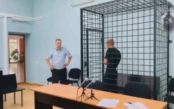Водитель, по чьей вине погибла 12-летняя девочка, заключён под стражу до 25 сентября