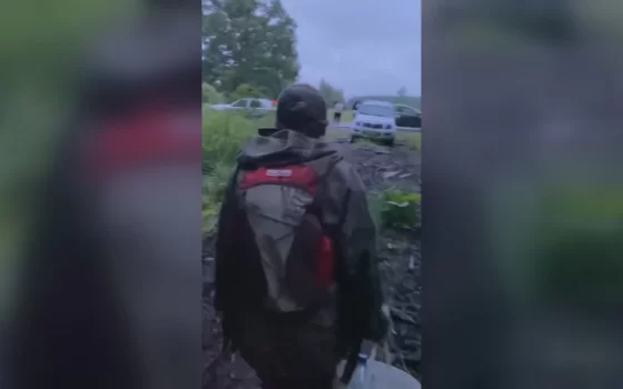 Гусевские волонтёры вывели из леса заблудившуюся любительницу тихой охоты