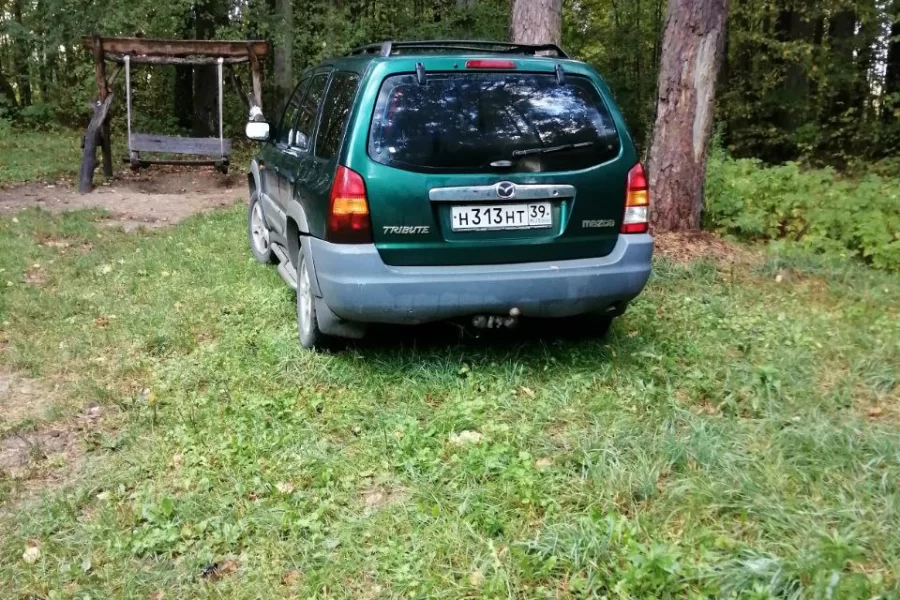 Гресовский лес, пешеходная зона