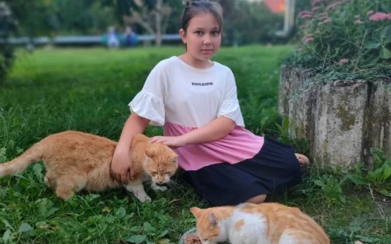 Воспитанники ДЮЦ провели акцию «Накорми бездомное животное»