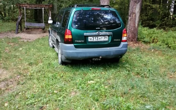 Гресовский лес, пешеходная зона