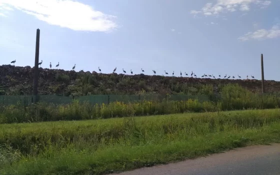 Свалки под Советском и Гусевом ограничивают приём отходов