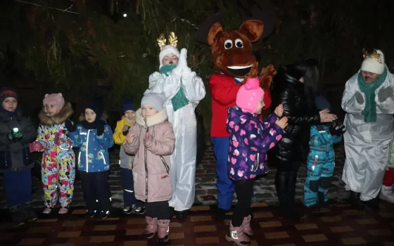 В ближайшее время главную ёлку города установят и украсят игрушками