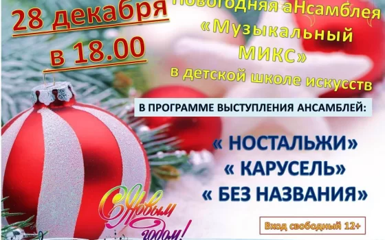 28 декабря в ДШИ пройдёт новогодняя аНсамблея «Музыкальный микс»