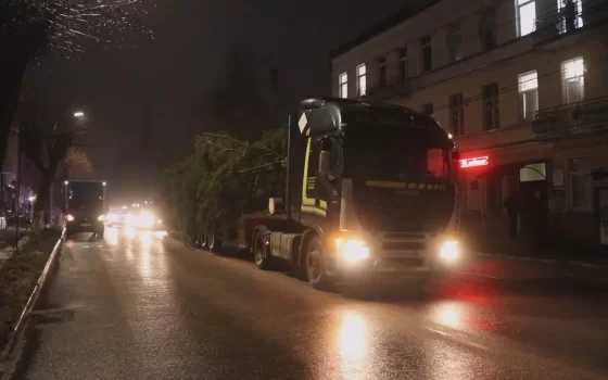 Главную ёлку города доставили на центральную площадь