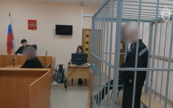 Уроженец Гусева получил 17 лет колонии за двойное убийство и изнасилование