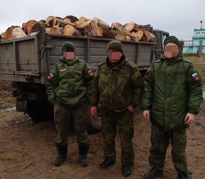 ЛДПРовцы помогли гусевским военным с дровами