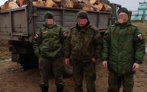 ЛДПРовцы помогли гусевским военным с дровами
