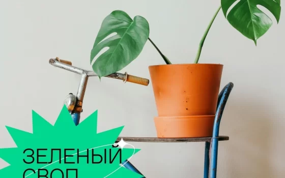 13 апреля в дизайн-резиденции «Gumbinnen» пройдёт обмен растениями