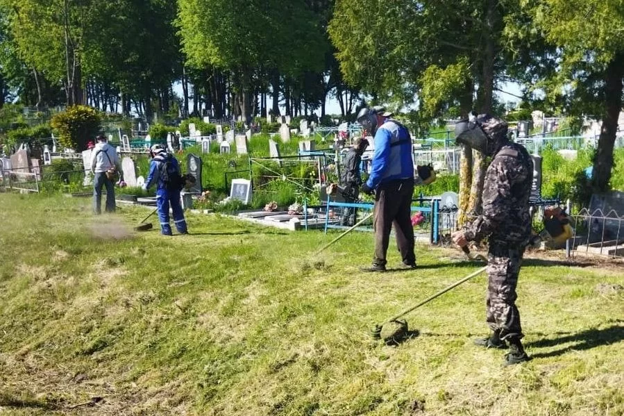 МБУ «Чистота» просит жителей Гусева выбрасывать мусор на кладбище в контейнеры