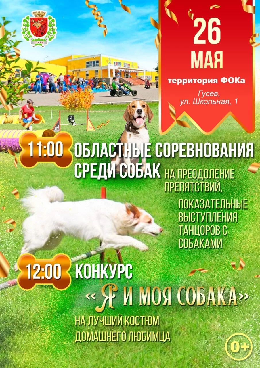 26 мая на территории ФОКа пройдут областные соревнования по аджилити