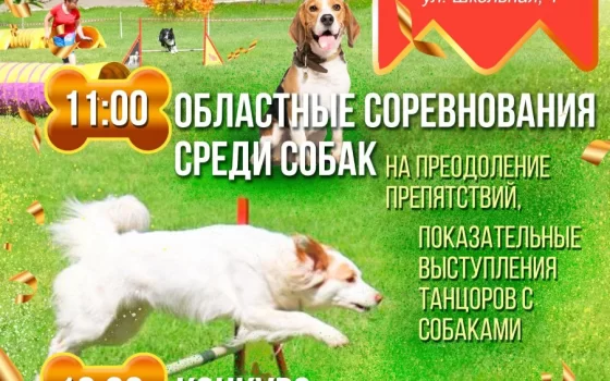 26 мая на территории ФОКа пройдут областные соревнования по аджилити