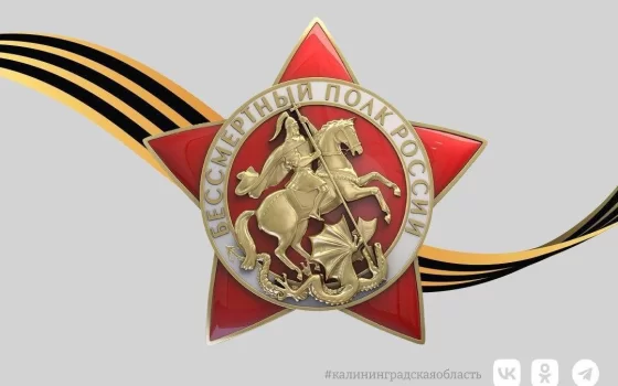 Всероссийская акция «Бессмертный полк» в этом году пройдёт без шествия