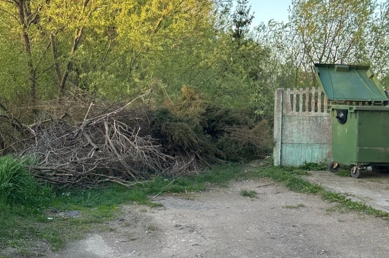 В Гусеве на Морской ликвидировали свалку из веток