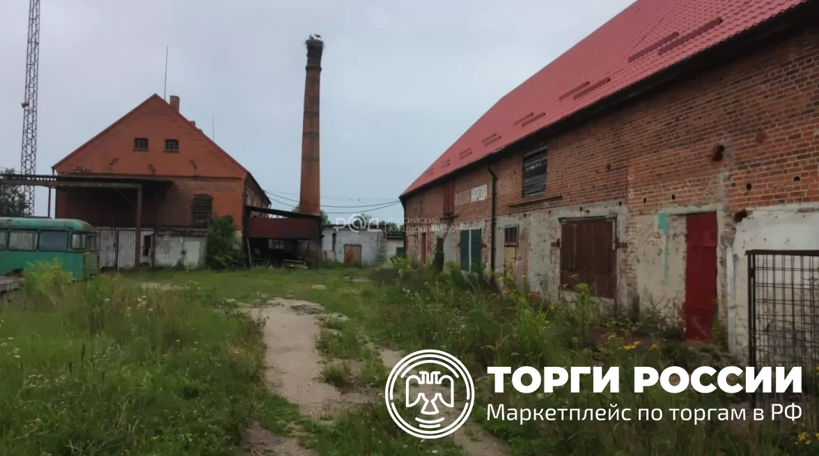 В Гусеве на торги выставили большой участок земли с несколькими нежилыми зданиями