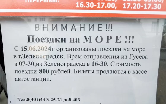 Запущены прямые рейсы до моря из Гусева и Черняховска