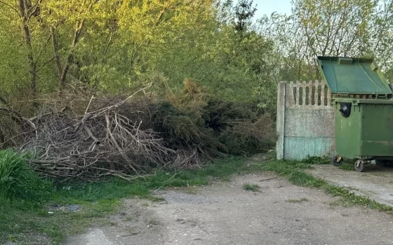 В Гусеве на Морской ликвидировали свалку из веток
