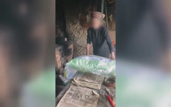 Под Гусевом обнаружили  ветхую хижину, в которой пытается выжить одинокая старушка