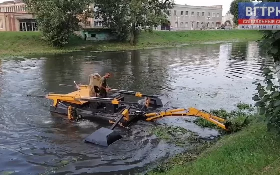 В Гусеве Писсу приводят в порядок