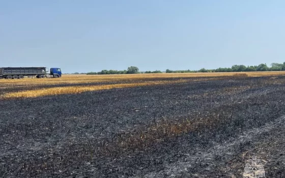 В Гусевском городском округе сгорело два гектара стерни