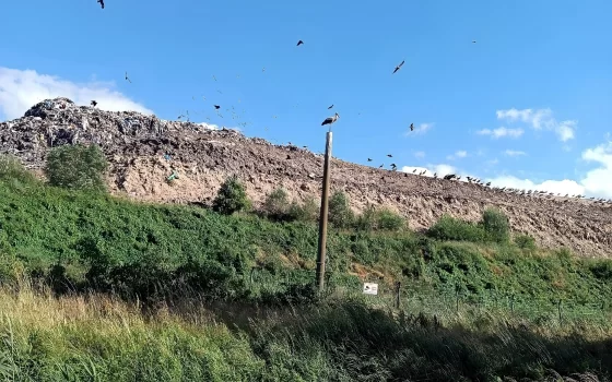 Мусорный полигон вблизи Гусева достиг максимальной высоты