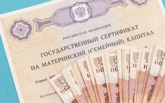 Жительница Гусева попалась на махинациях с материнским капиталом