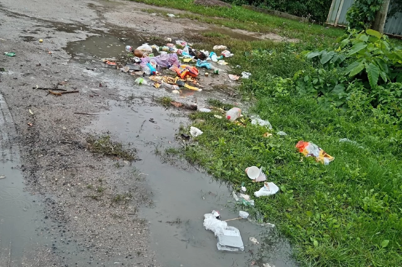 На улицах Бетховена и Моцарта стал появляться мусор прямо на дороге