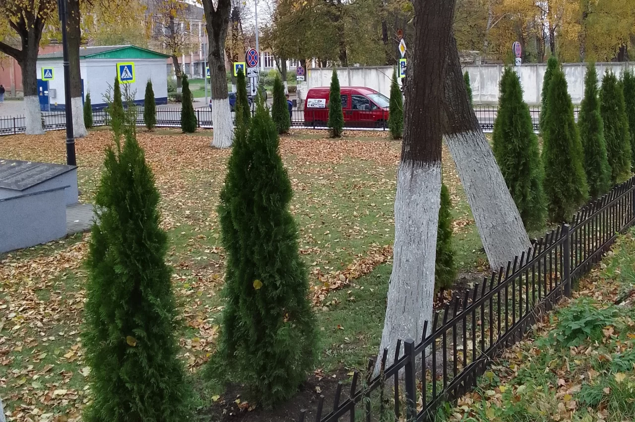 Захоронение на Юрия Смирнова украсили аккуратные туи