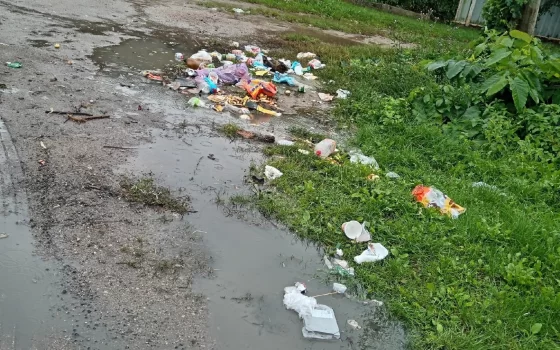 На улицах Бетховена и Моцарта стал появляться мусор прямо на дороге
