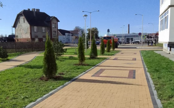 Сквер у привокзальной площади украсился стройными туями