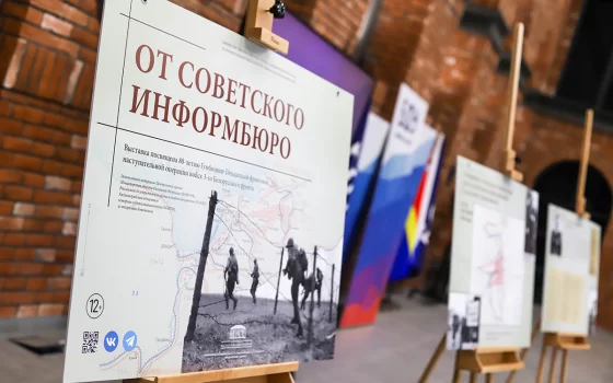 Эксперты и знатоки истории ведут дискуссии о значимости Гумбинненской операции