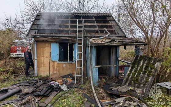 В Гусеве на пожаре в жилом доме СНТ «Луч» погиб мужчина