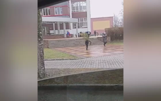 Александр Китаев пригрозил пожаловаться Деду Морозу, если не вернут на место вырванную ёлку