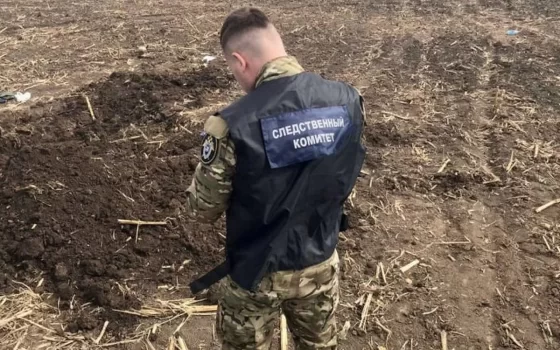 Недалеко от Гусева нашли останки пенсионерки, которая полгода была в розыске