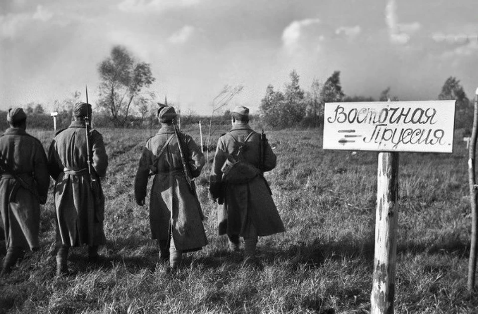 Гумбинненский прорыв: огненная мощь 28-й армии в январе 1945 года