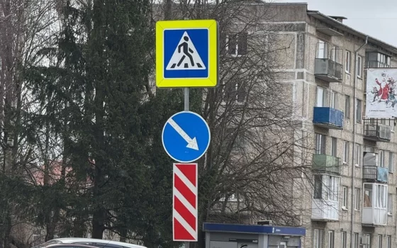На Ломоносова и Толстого установили новые дорожные знаки