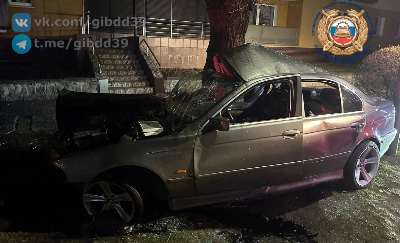 В Гусеве на проспекте Ленина автомобиль «БМВ» врезался в дерево, водитель госпитализирован