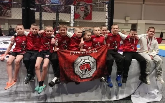 Гусевские спортсмены показали отличные результаты на областном фестивале единоборств
