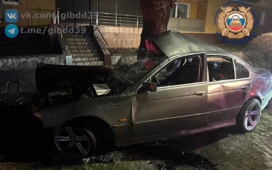 В Гусеве на проспекте Ленина автомобиль «БМВ» врезался в дерево, водитель госпитализирован