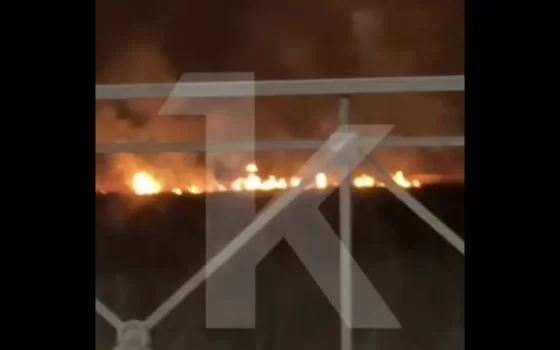 «Они просто полыхают!»: в Калининградской области в посёлке Ломово ночью горели поля