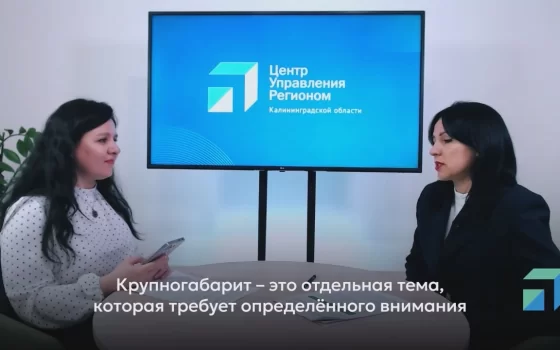 В Гусеве крупногабаритный мусор можно выбрасывать на двух площадках