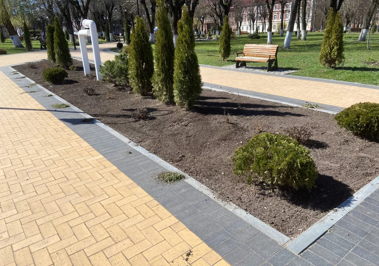 Специалисты МАУ «Чистота» приступили к работам по озеленению города