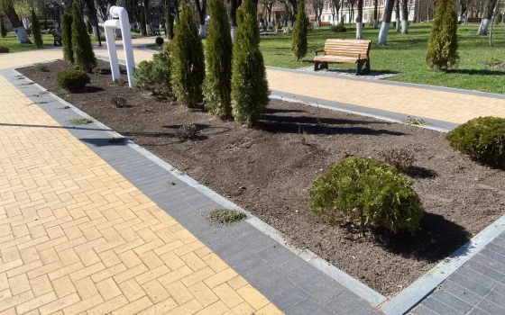 Специалисты МАУ «Чистота» приступили к работам по озеленению города