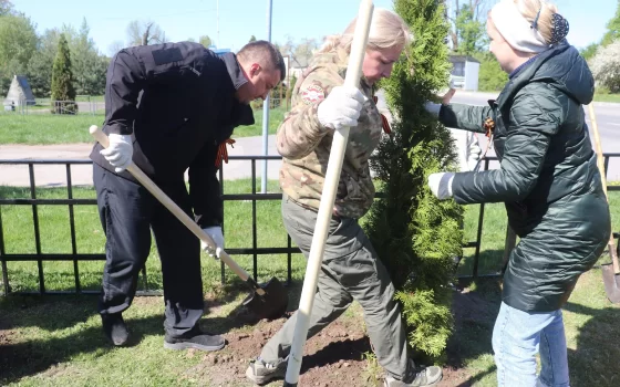В Маяковском на братской могиле советских солдат высадили туи