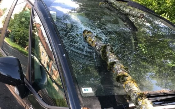 В Гусеве на Зои Космодемьянской поваленное ветром дерево повредило автомобиль